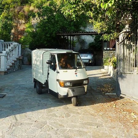 La Tana Del Tasso Ventimiglia Bed & Breakfast Luaran gambar