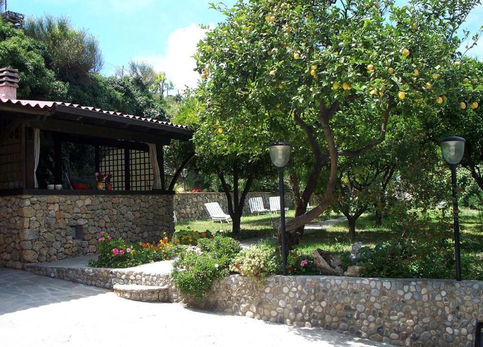 La Tana Del Tasso Ventimiglia Bed & Breakfast Luaran gambar