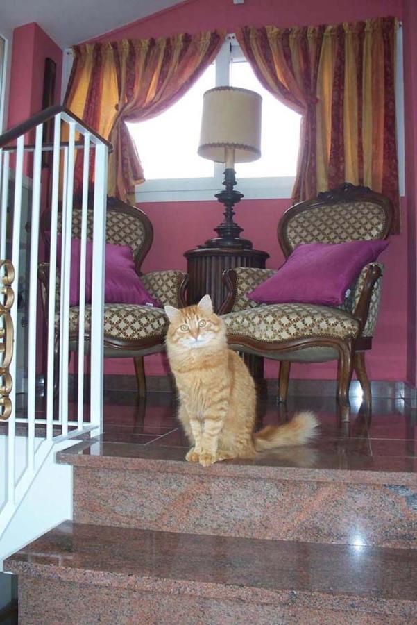 La Tana Del Tasso Ventimiglia Bed & Breakfast Luaran gambar