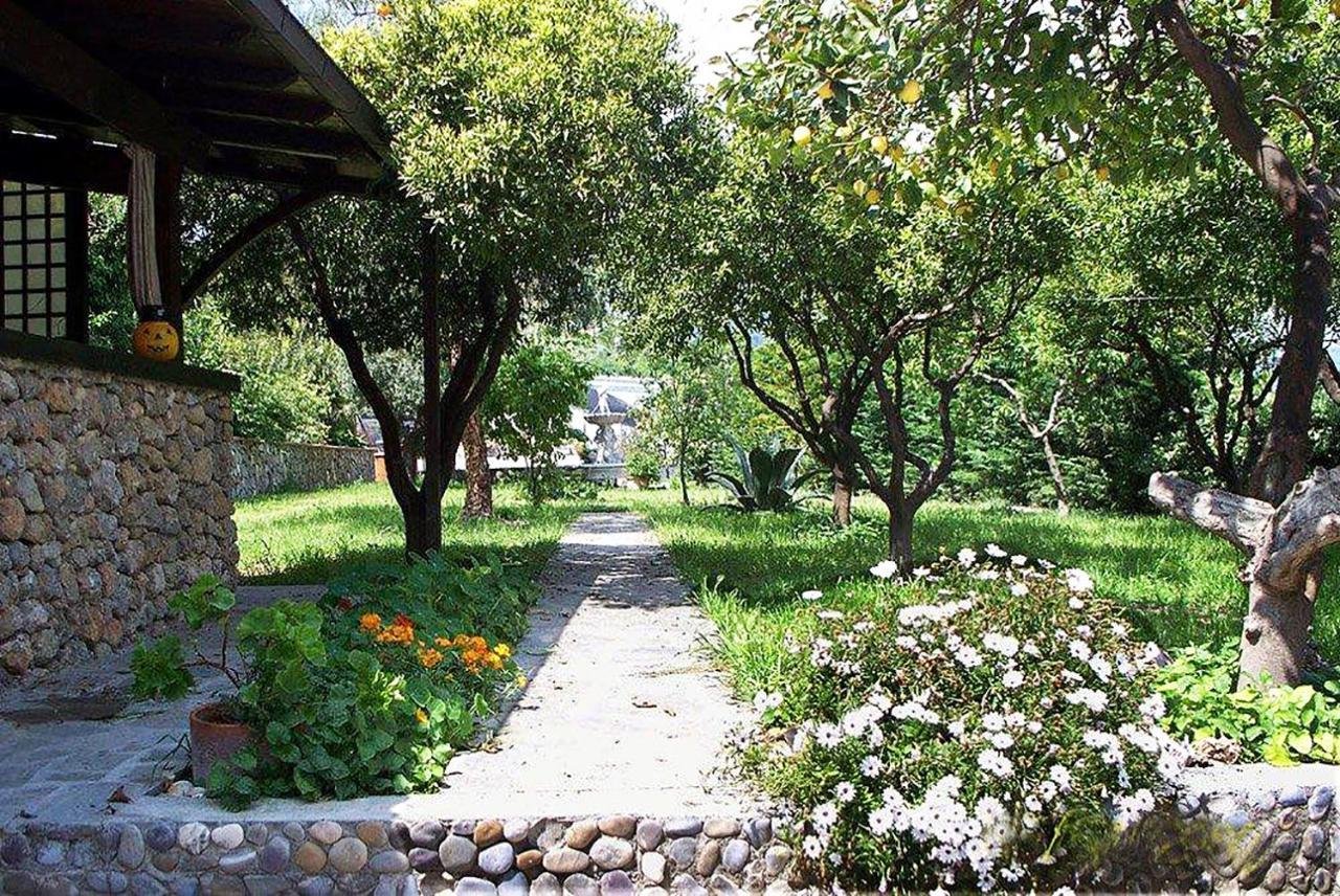 La Tana Del Tasso Ventimiglia Bed & Breakfast Luaran gambar